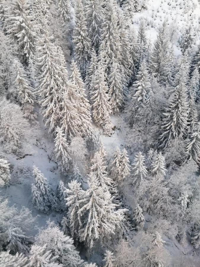 Apartament Montepart Zillertal Hainzenberg Zewnętrze zdjęcie